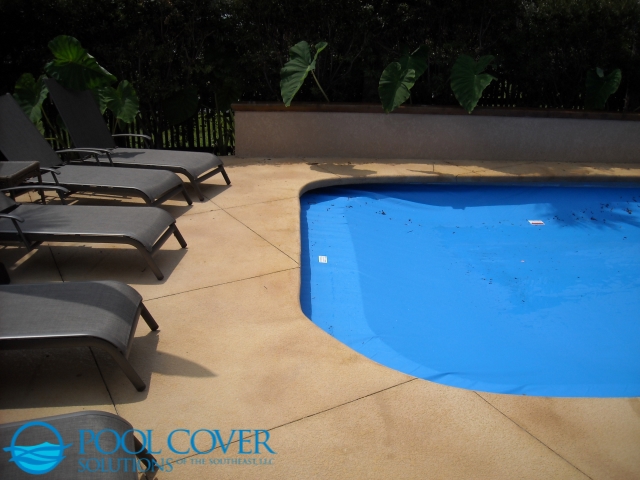 Isle of Palms SC Safety Pool Cover on Free Form Pool with Water Slide